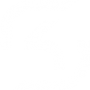 SK Gaming