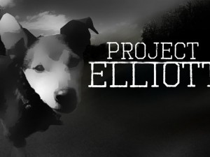 projectelliott